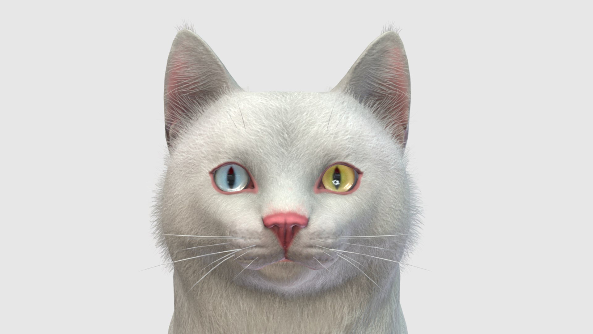 3D Model Cats - Fat - TurboSquid 2037131