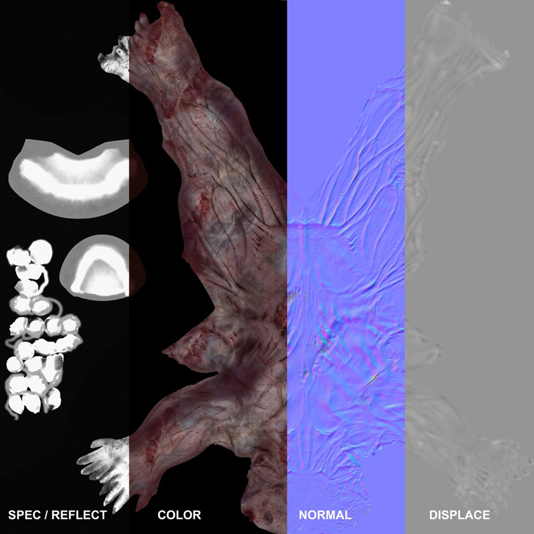 rigging skin 3d model https://p.turbosquid.com/ts-thumb/bu/LTzYb0/UHqHJfG2/maps/jpg/1350121504/1920x1080/fit_q87/c176cad267c6fb3b7e5b707eb502d02345c04147/maps.jpg