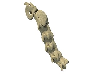 3D model animal neck bones
