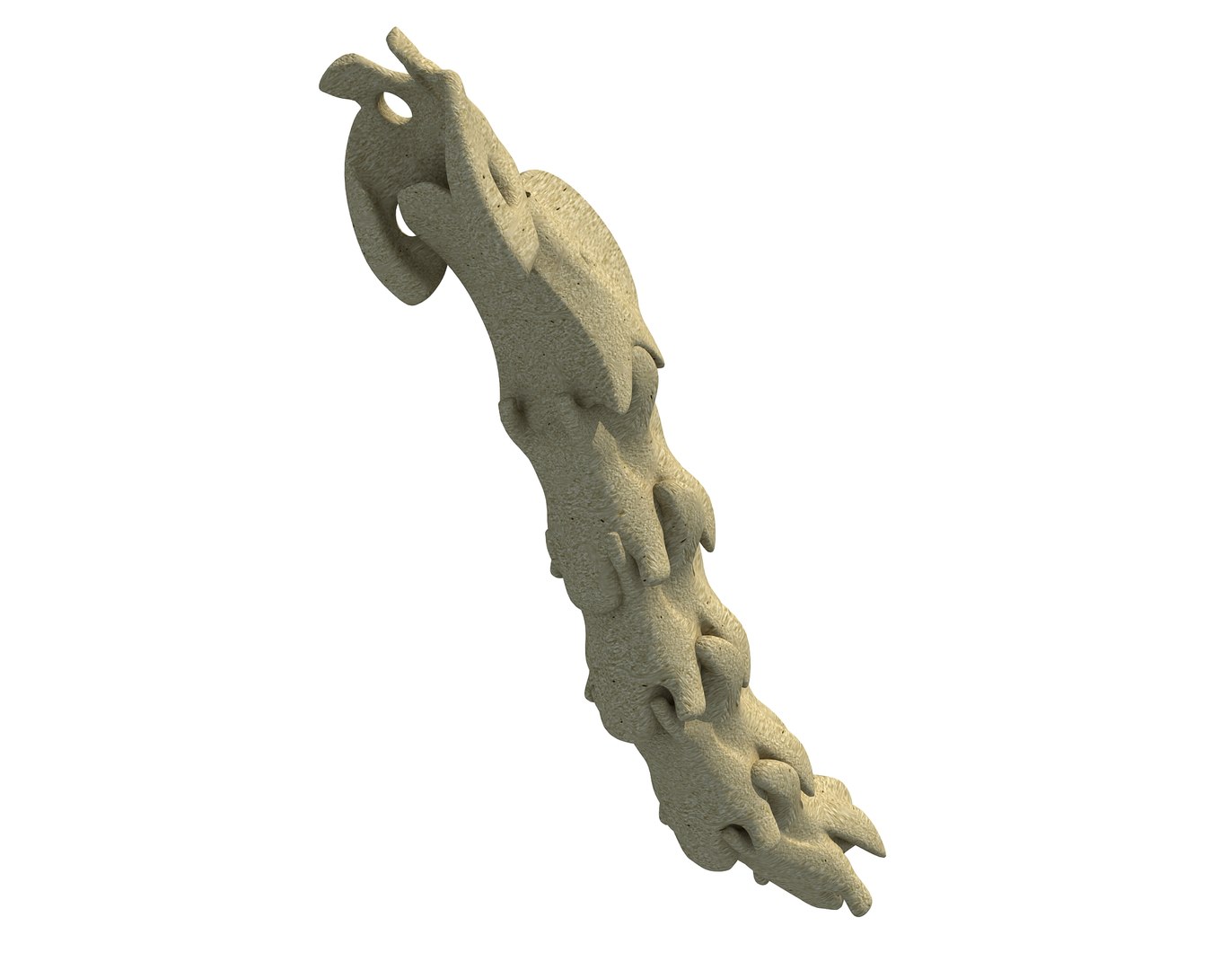 3D Model Animal Neck Bones TurboSquid 1171328