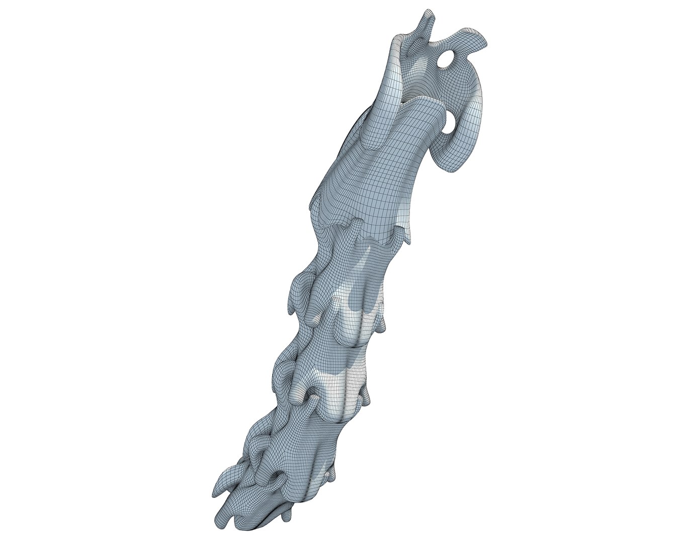 3D Model Animal Neck Bones TurboSquid 1171328