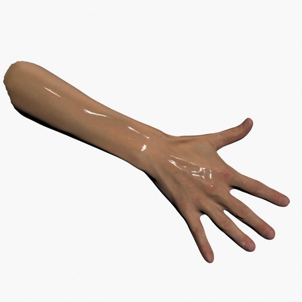 3D Human Hand 3D Scan High Quality model