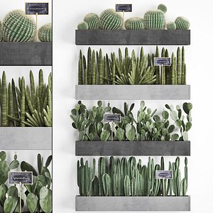 3D plants cactus wall decor