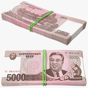 Rubber Band Stack of North Korea 5000 Won 2008 model