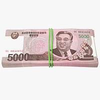 Rubber Band Stack of North Korea 5000 Won 2008