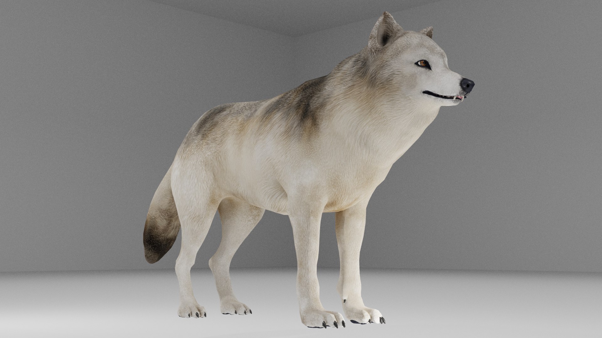 Wolf 3D - TurboSquid 2376967