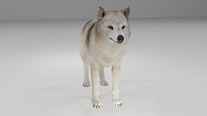 wolf 3D