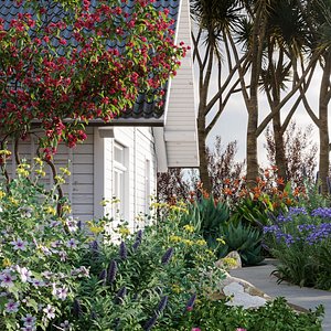 Bundle 01 - Mediterranean Garden