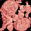 Cat Brain Anatomy Structure