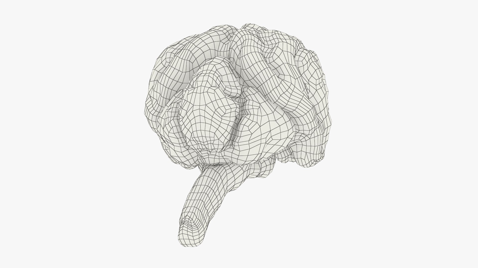 Cat Brain Anatomy Structure 3D model https://p.turbosquid.com/ts-thumb/bu/ty3flD/tj/cat_brain_anatomy_structure_010/jpg/1778112257/1920x1080/fit_q87/da8998a99b617a67f62da43ae449e5212b875d55/cat_brain_anatomy_structure_010.jpg