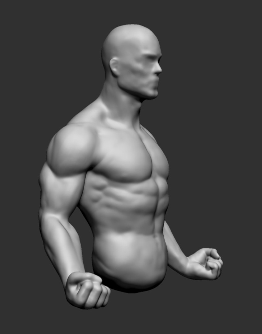 3d Model Male Upper Body