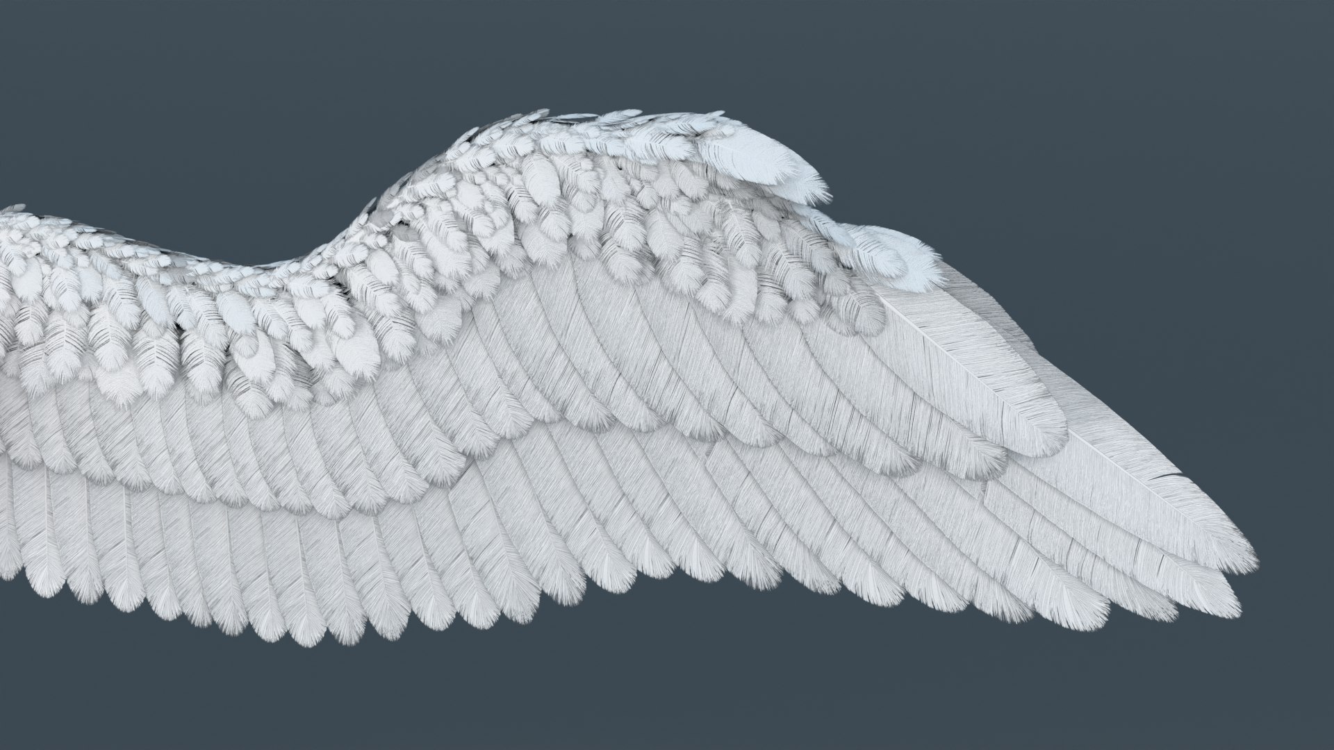 Bad and Good Winged Heart Bundle model https://p.turbosquid.com/ts-thumb/bv/AUwZDG/Ch/goodwingedheart1/png/1749653381/1920x1080/fit_q87/4b10eef9ca2032c123c5d03372d227bf1a801975/goodwingedheart1.jpg