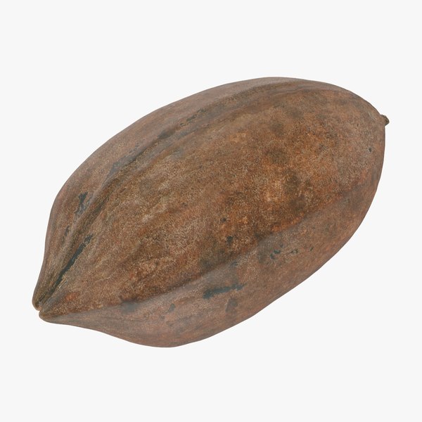 Pecan Shell 05 3D TurboSquid 2023929