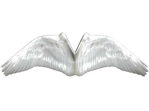 angel wings 3d model