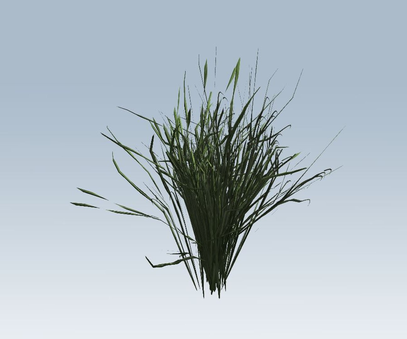grass 3D model https://p.turbosquid.com/ts-thumb/bv/N0qk26/2spaQpT7/6/jpg/1544472994/1920x1080/fit_q87/a71bf37b5ff0b0a3985ba94a7816db6de07c1983/6.jpg