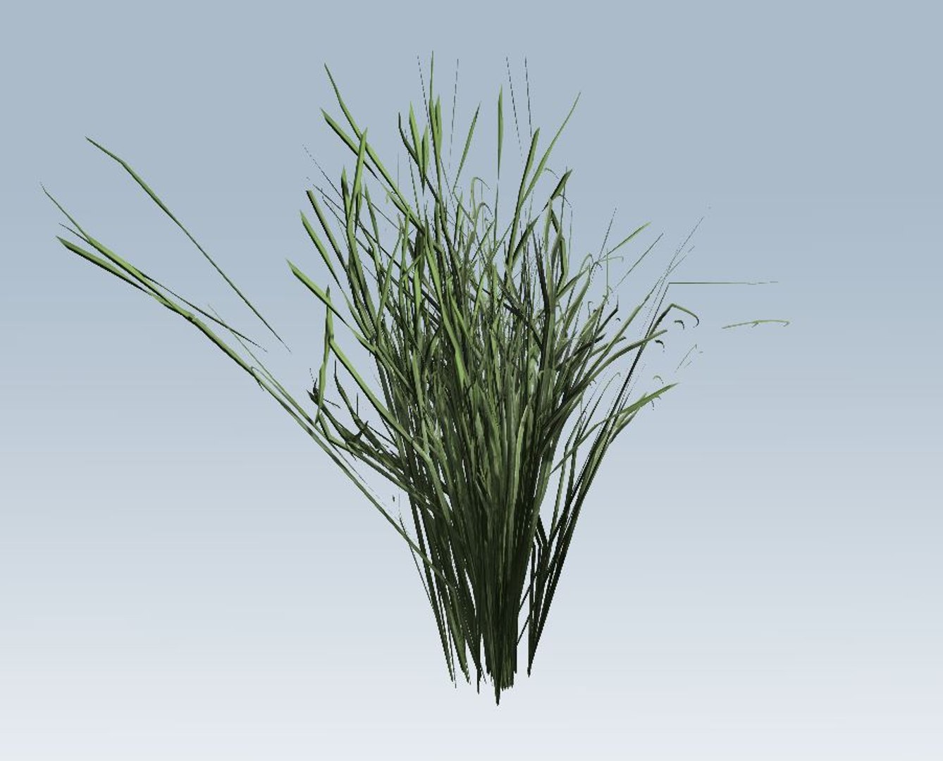 grass 3D model https://p.turbosquid.com/ts-thumb/bv/N0qk26/GFqHYC4p/2/jpg/1544472994/1920x1080/fit_q87/33c8e0ffdf970c586ea43d413166011816a38f66/2.jpg