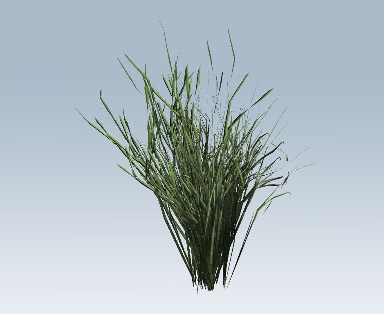 grass 3D model https://p.turbosquid.com/ts-thumb/bv/N0qk26/iHR0LIAg/3/jpg/1544472994/1920x1080/fit_q87/21bcc691a700aecf090cf9c1f824169226303b5f/3.jpg