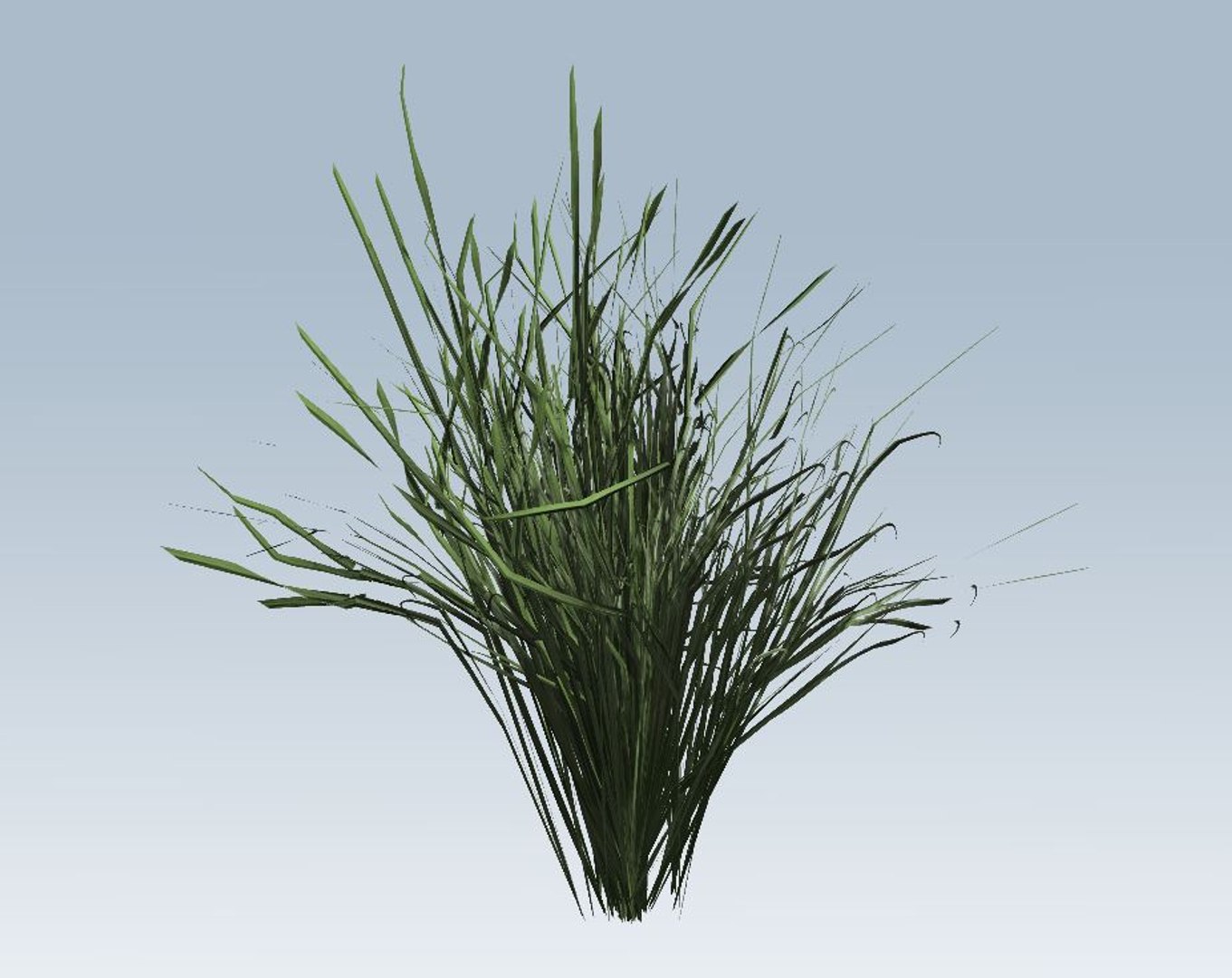 grass 3D model https://p.turbosquid.com/ts-thumb/bv/N0qk26/jDWGDKTN/4/jpg/1544472994/1920x1080/fit_q87/22722562504c7897aac004d873a4318279af47c8/4.jpg
