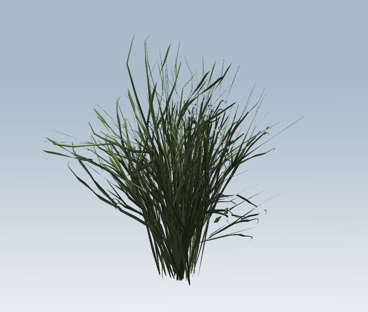 grass 3D model https://p.turbosquid.com/ts-thumb/bv/N0qk26/oawqIpU6/5/jpg/1544472994/1920x1080/fit_q87/181435c64de3d715ecedf343218b2df4c5ee7ff7/5.jpg