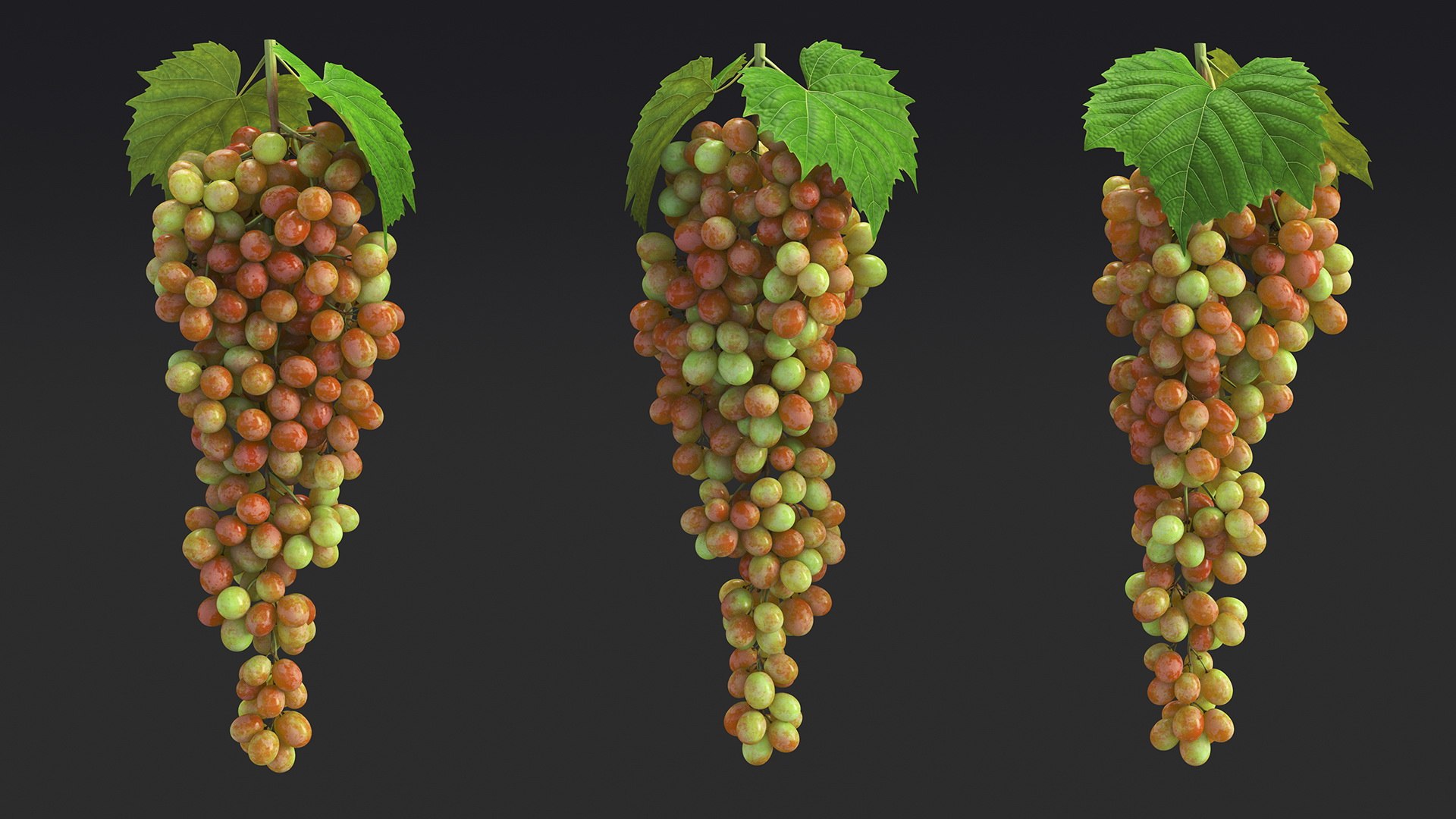 Grapes Collection 6 3D model https://p.turbosquid.com/ts-thumb/bv/TRq6Qz/3z/grapes_collection_6_007/jpg/1709644370/1920x1080/fit_q87/4cd1c3f401ef0b23c95757f0df57376ea7f79b87/grapes_collection_6_007.jpg