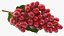 Colección de uvas 6