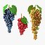 Colección de uvas 6