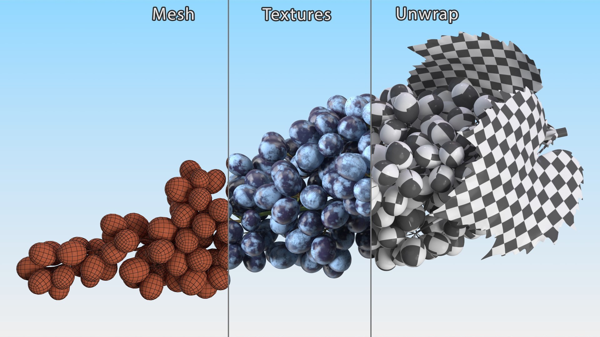 Grapes Collection 6 3D model https://p.turbosquid.com/ts-thumb/bv/TRq6Qz/Mm/grapes_collection_6_023/jpg/1709644380/1920x1080/fit_q87/2ae7c258242d33ef2db8bf7dccc45a34a600a9dc/grapes_collection_6_023.jpg