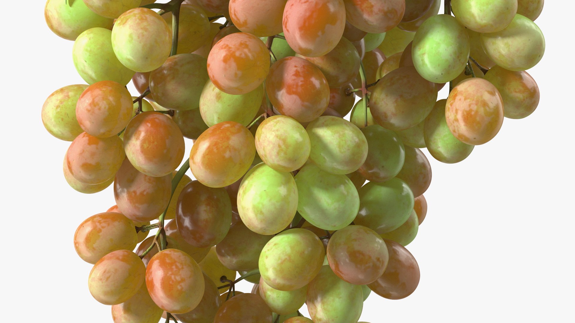Grapes Collection 6 3D model https://p.turbosquid.com/ts-thumb/bv/TRq6Qz/O6/grapes_collection_6_014/jpg/1709644375/1920x1080/fit_q87/5f73d79595203e4f190106d5a8ada851256e545c/grapes_collection_6_014.jpg