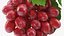 Colección de uvas 6