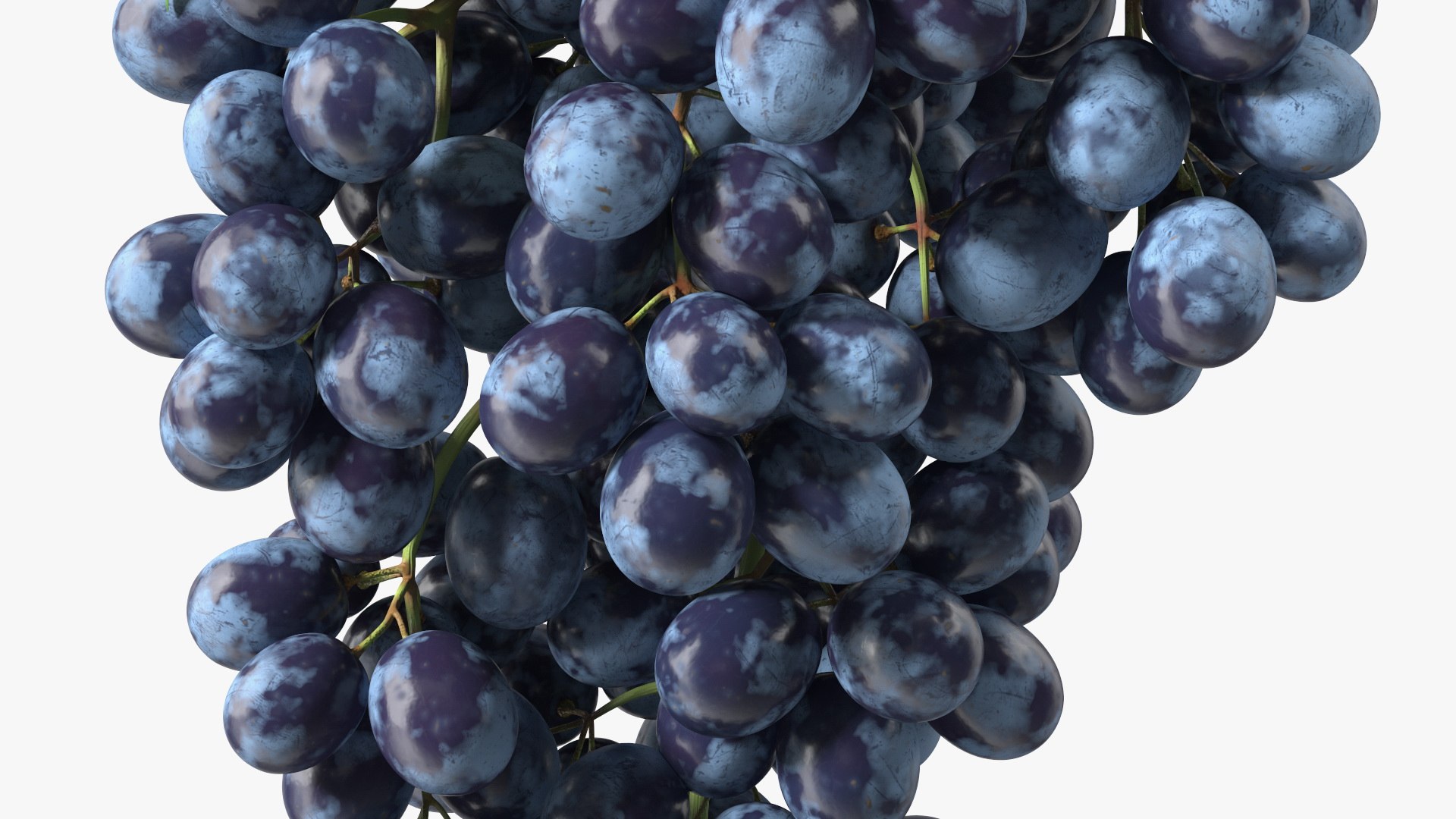 Grapes Collection 6 3D model https://p.turbosquid.com/ts-thumb/bv/TRq6Qz/TH/grapes_collection_6_028/jpg/1709644383/1920x1080/fit_q87/836033d991b0feea24534b40d075b67da4b8741d/grapes_collection_6_028.jpg
