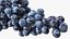 Colección de uvas 6