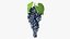 Colección de uvas 6
