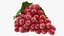 Colección de uvas 6