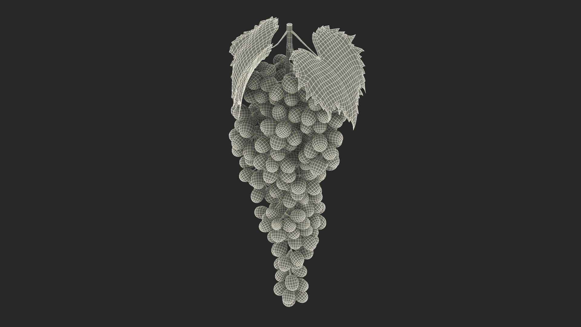 Grapes Collection 6 3D model https://p.turbosquid.com/ts-thumb/bv/TRq6Qz/oL/blue_sultana_grape_cluster_361/jpg/1709641290/1920x1080/turn_fit_q99/6c8a4bfe94e62ef4b088a5c9b720be191623fa84/blue_sultana_grape_cluster_361-1.jpg