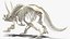 Triceratops Horridus Skeleton Rigged for Maya