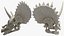 Triceratops Horridus Skeleton Rigged for Maya