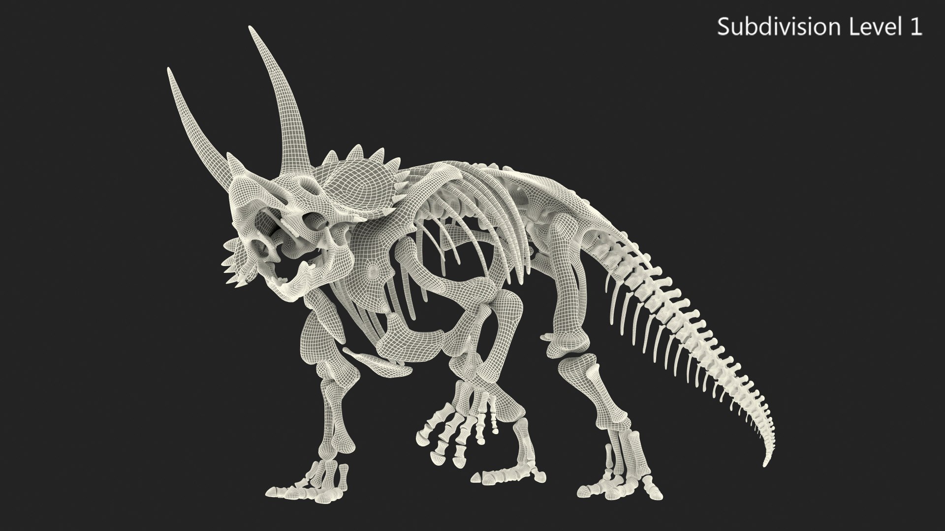 3D model triceratops horridus skeleton rigged https://p.turbosquid.com/ts-thumb/bv/Tz1H0v/YzoD6ITm/triceratopshorridusskeletonrigged3dmodel029/jpg/1583842709/1920x1080/fit_q87/b008806f1c7bb8d00290730d97e594876695bdb6/triceratopshorridusskeletonrigged3dmodel029.jpg