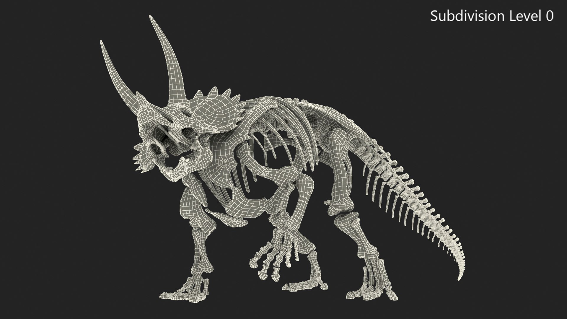 3D model triceratops horridus skeleton rigged https://p.turbosquid.com/ts-thumb/bv/Tz1H0v/akEZycez/triceratopshorridusskeletonrigged3dmodel028/jpg/1583842705/1920x1080/fit_q87/fb39084505a44197b55e1e43a6da9696ac1e832f/triceratopshorridusskeletonrigged3dmodel028.jpg