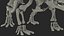 Triceratops Horridus Skeleton Rigged for Maya