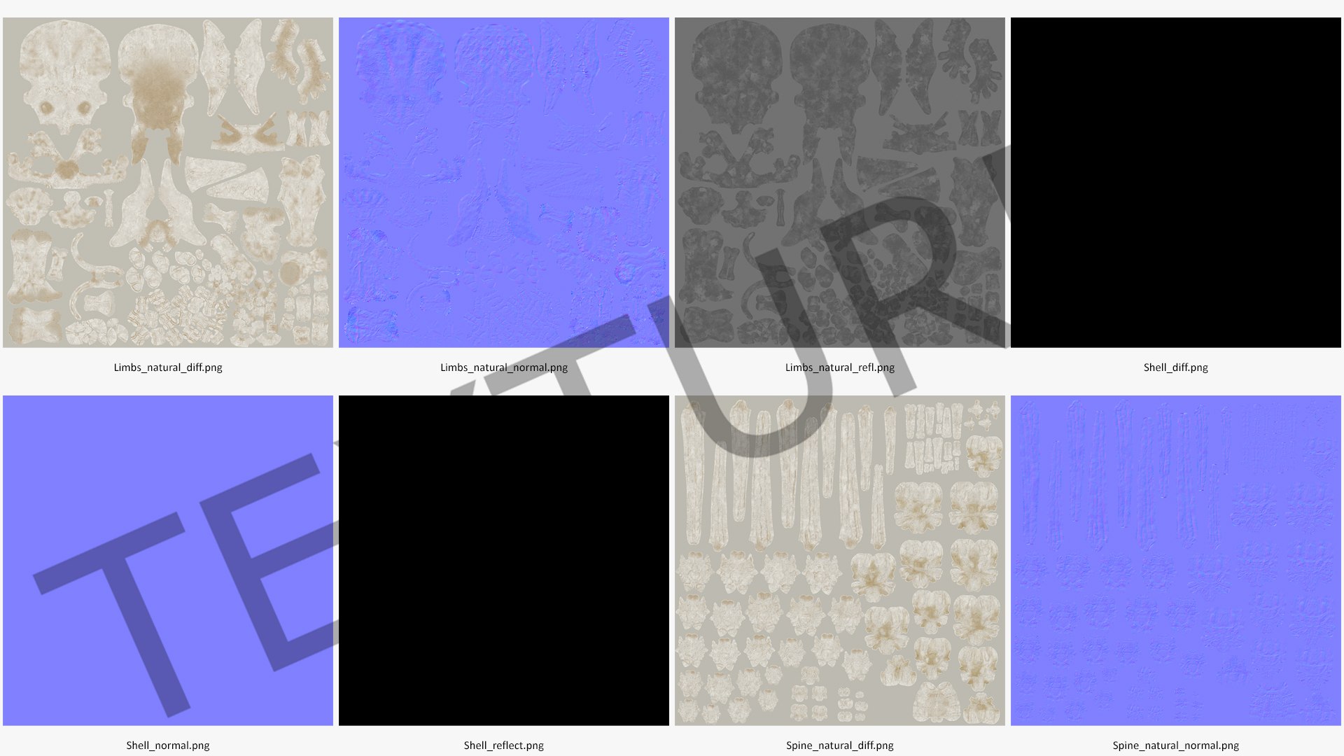 3D model triceratops horridus skeleton rigged https://p.turbosquid.com/ts-thumb/bv/Tz1H0v/jk0jdKRY/triceratopshorridusskeletonrigged3dmodel032/jpg/1583842720/1920x1080/fit_q87/16bb0b9819dc4e33d9c3622469f6454980be1893/triceratopshorridusskeletonrigged3dmodel032.jpg