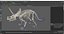 Triceratops Horridus Skeleton Rigged for Maya