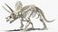 Triceratops Horridus Skeleton Rigged for Maya