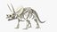 Triceratops Horridus Skeleton Rigged for Maya