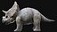 3D triceratops rigged model