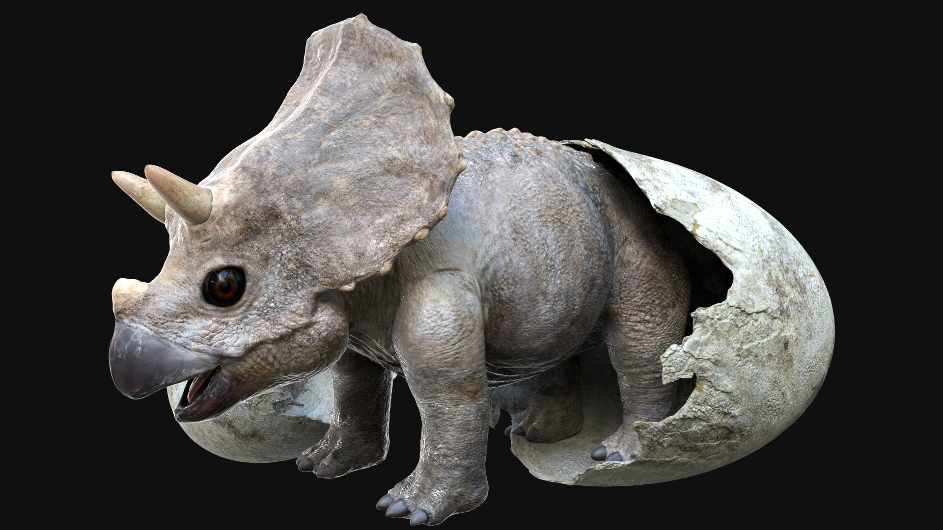 3D triceratops rigged model https://p.turbosquid.com/ts-thumb/bv/W2E9c7/OWYm9U8r/01/jpg/1576900945/1920x1080/fit_q87/83924ebdaefcd9c22b6c285af63312227b776bab/01.jpg