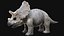 3D triceratops rigged model
