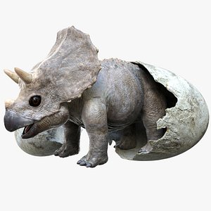 3D triceratops rigged model