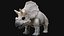 3D triceratops rigged model