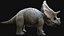 3D triceratops rigged model