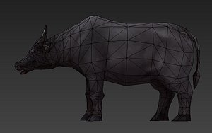 cattle